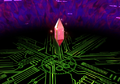 Thumbnail for version as of 22:36, 22 November 2020