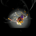 Thumbnail for version as of 23:01, 3 November 2020
