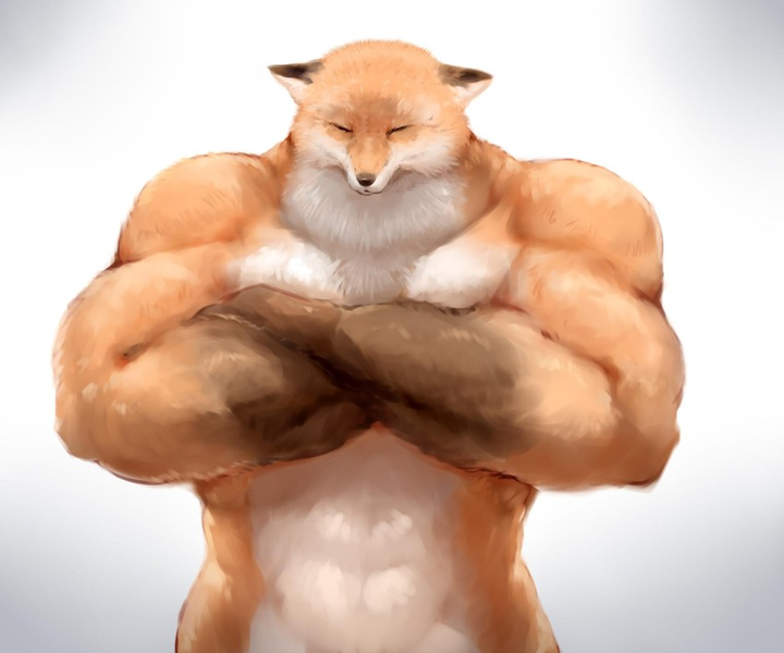 File:Fox Secret Chamber.png